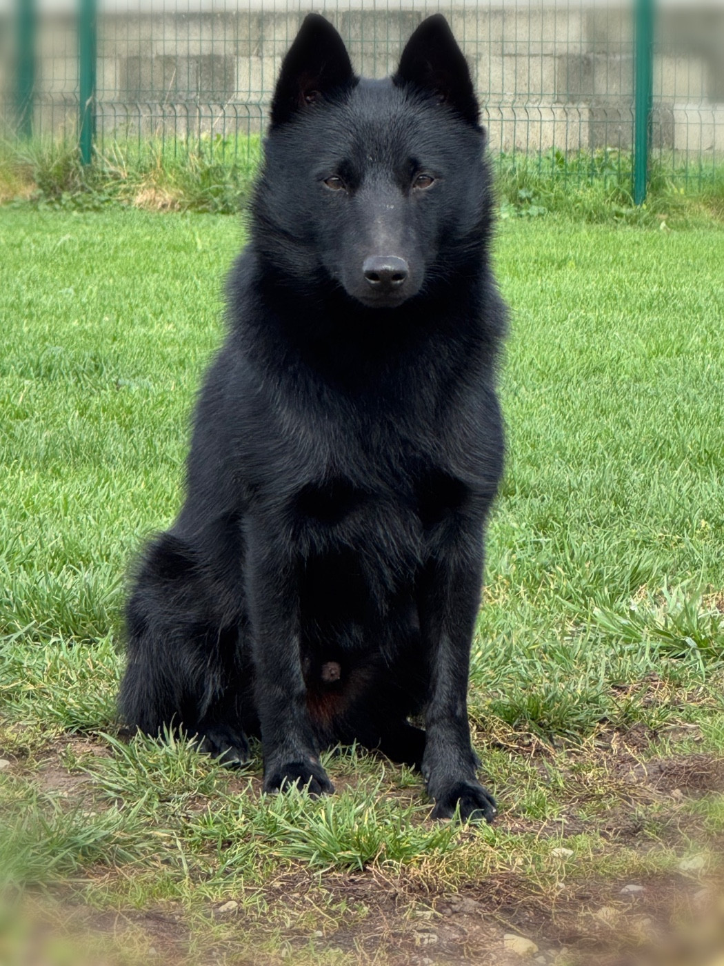 Valmont du Mas de Valaurine