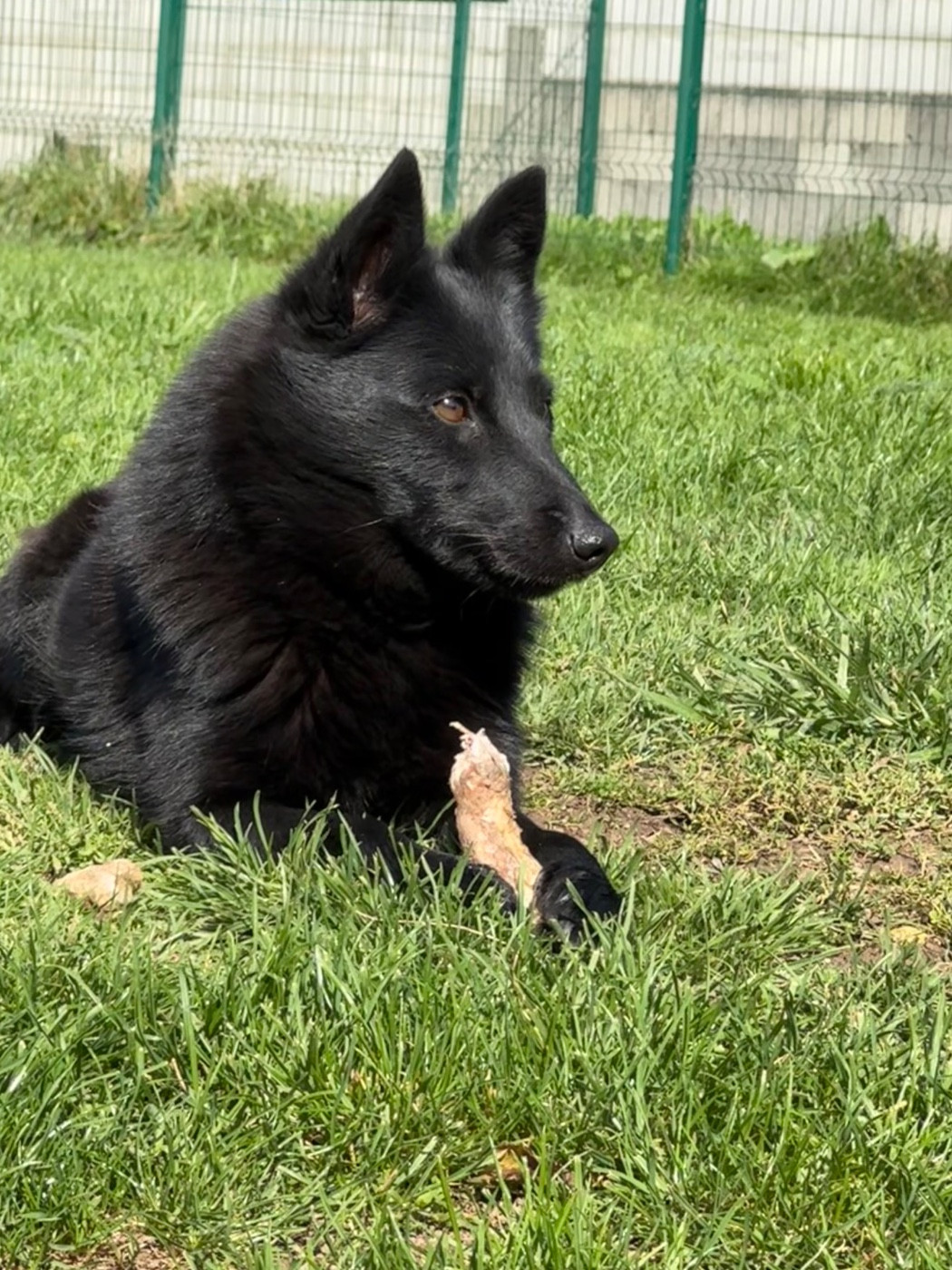 Sottise du Mas de Valaurine