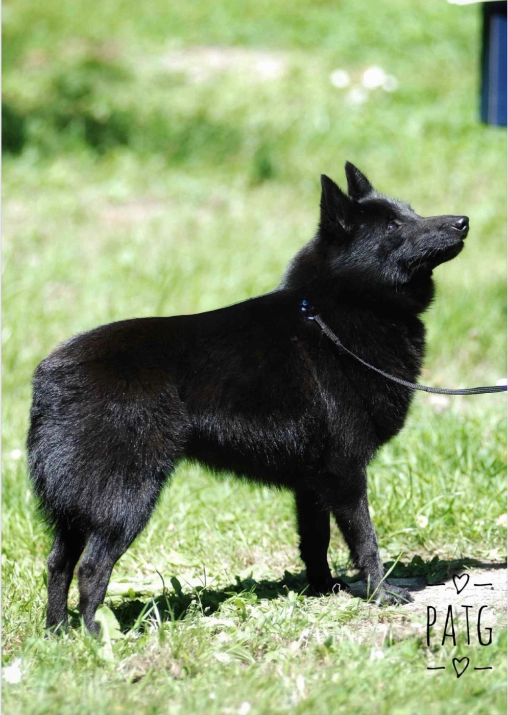 Simaya du Mas de Valaurine