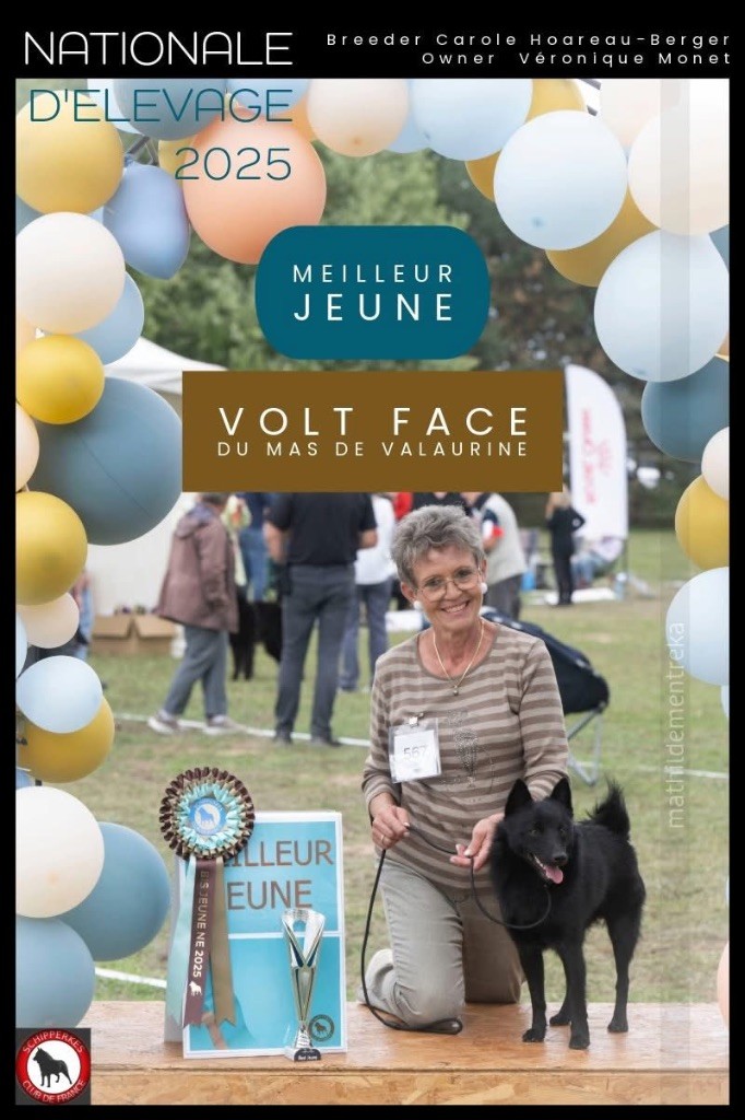 Volt face du Mas de Valaurine
