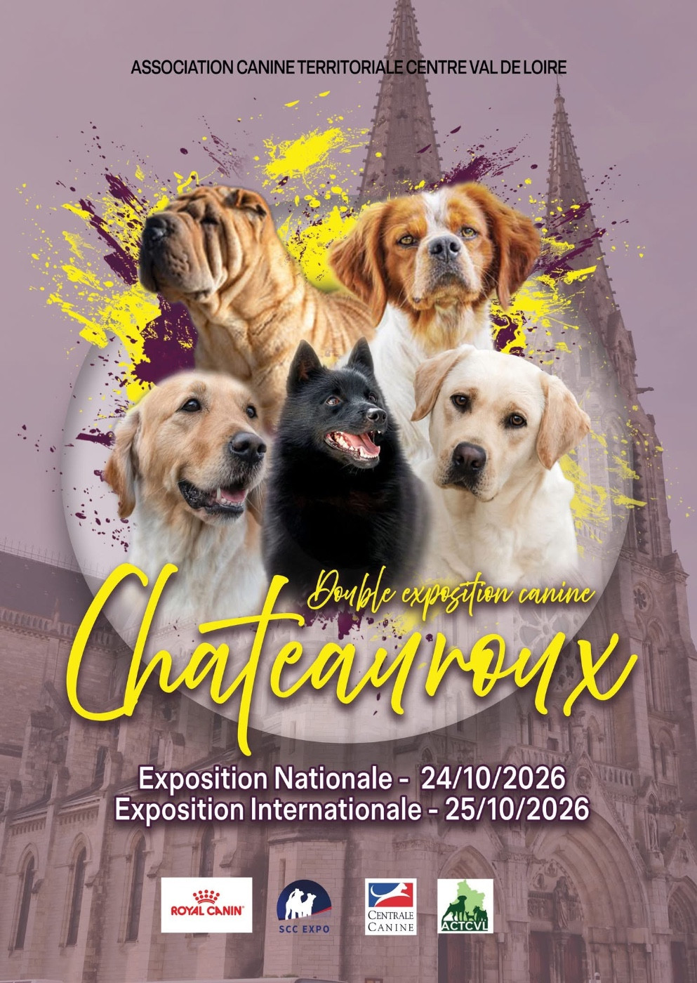 Sr.Ch.Seyar à l'honneur sur l'affiche de l'exposition de Chateauroux