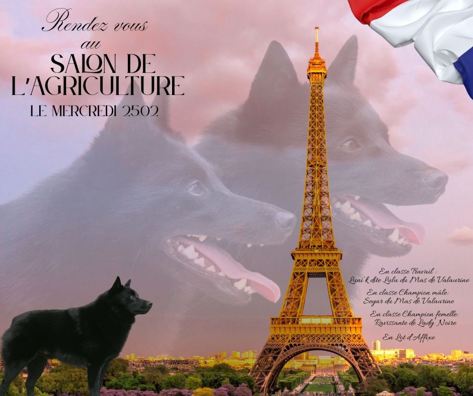 Cap sur le Salon de l'Agriculture !