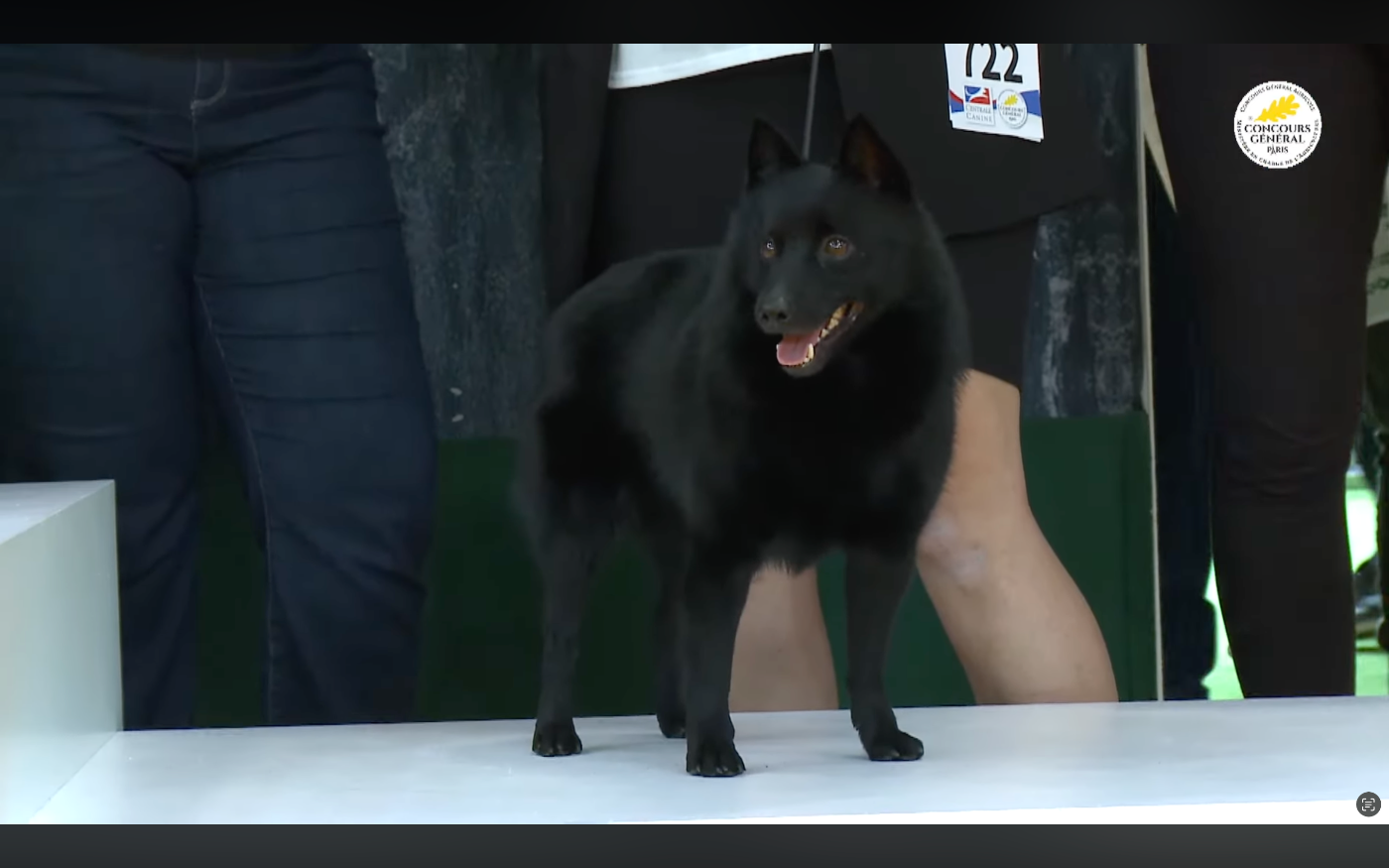 Retour sur le Salon de l agriculteur