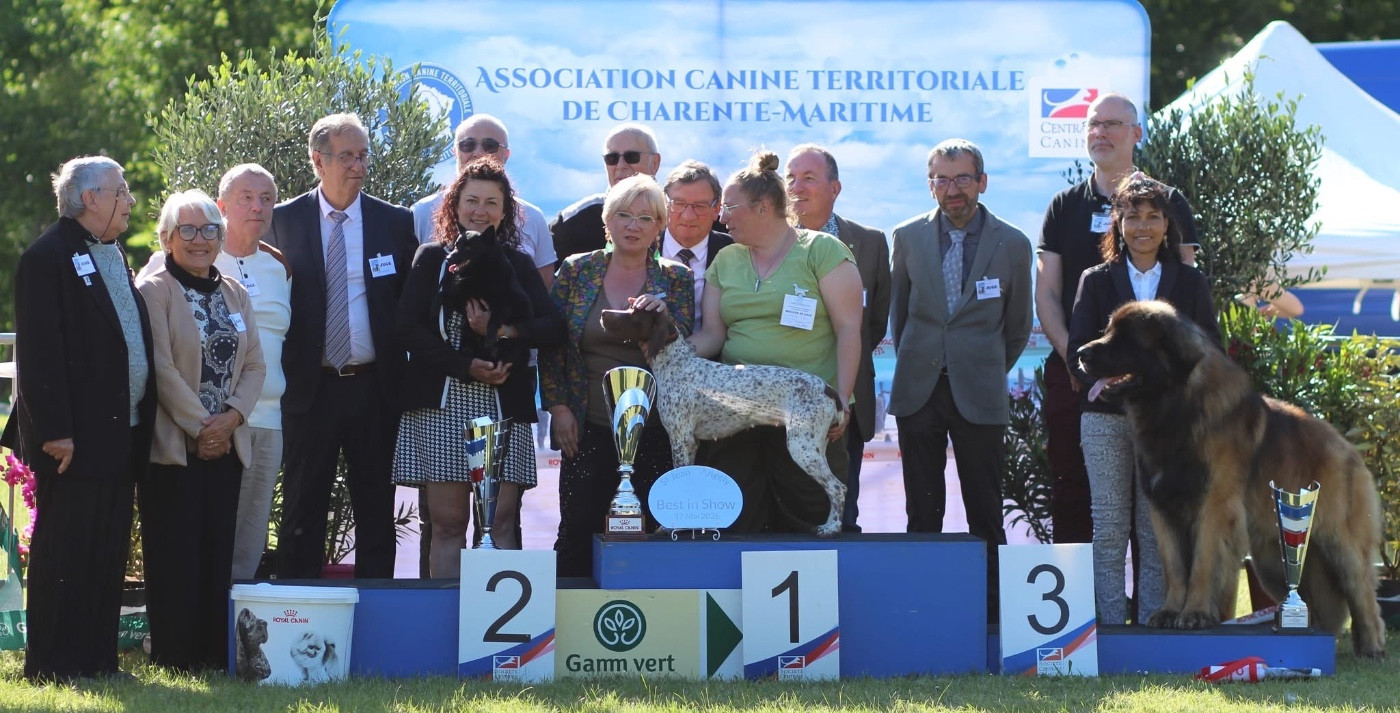 2eme meilleur chien de l exposition !! Sr.chf.Seyar du Mas de Valaurine